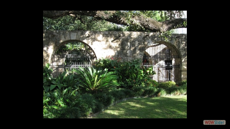 alamo-grounds alamo-grounds