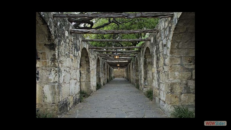 alamowalkway alamowalkway